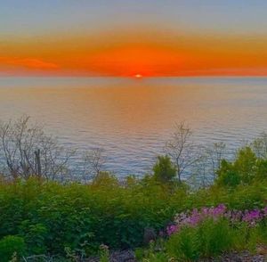 Meet your Posher, Cherie